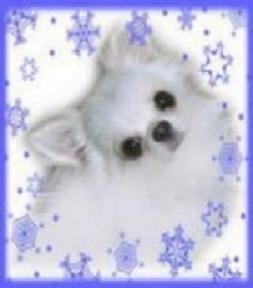 佐々木ブリーダーの画像